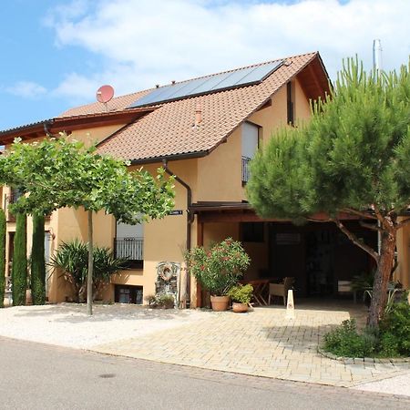 Pension Vanii, Apartments Rust Exterior photo